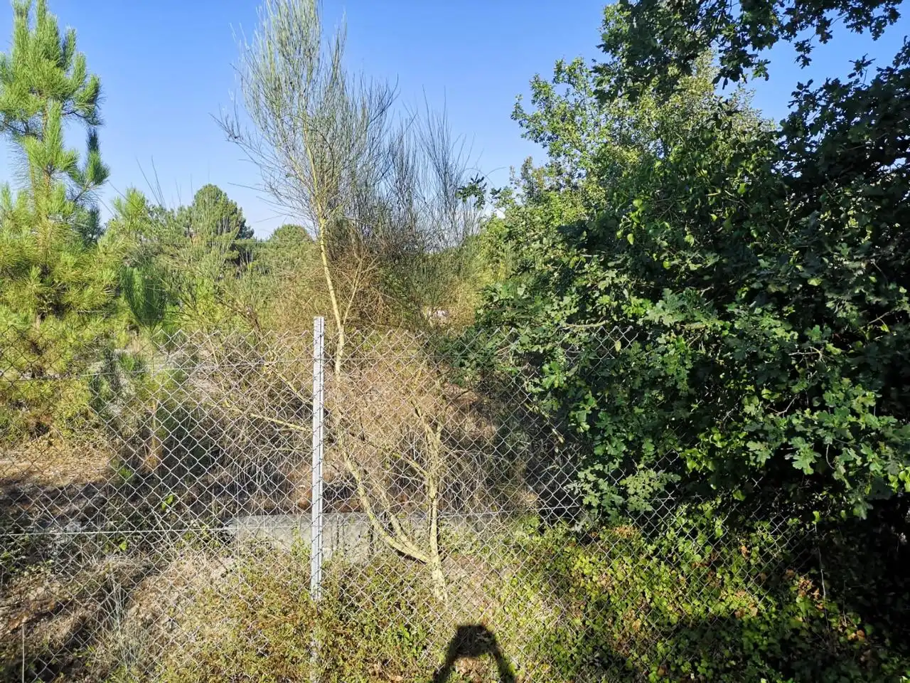 Terrenys i solars en venda a O Pereiro de Aguiar, imagen 5