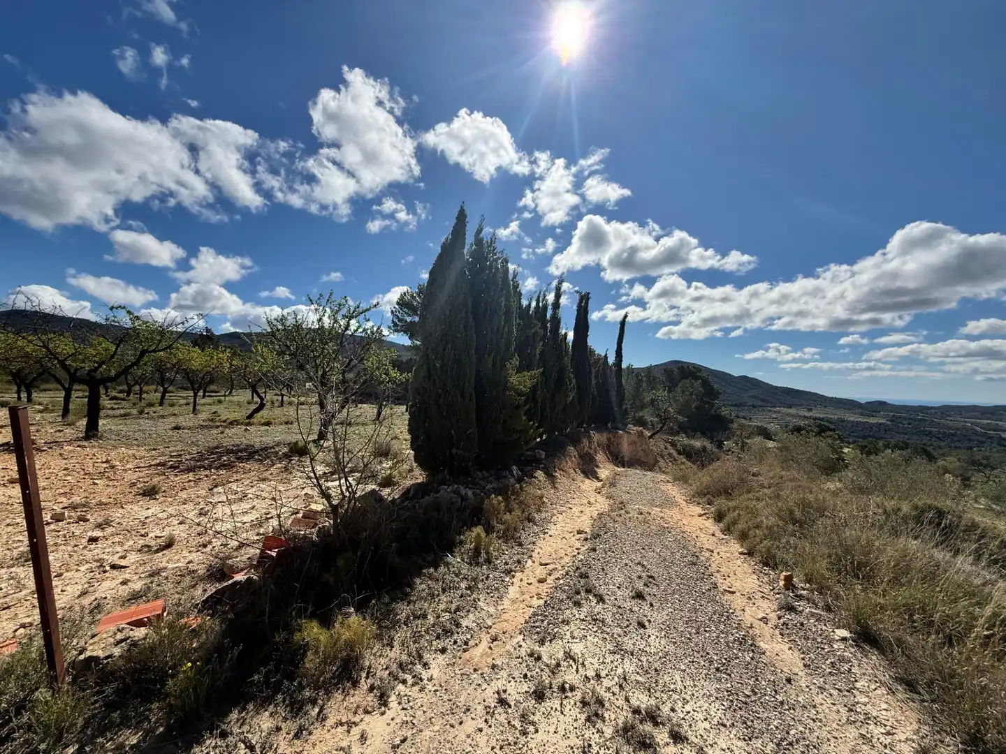Casa o chalet en venta en Polígono 4 Paraje 139 LENTISCAR, 36, Jijona / Xixona