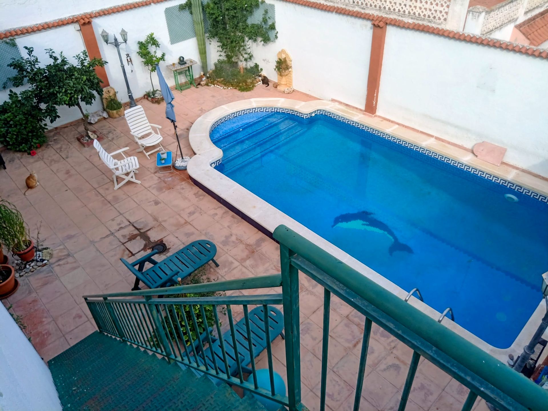 Piscina de Casa o xalet en venda en  Murcia Capital amb Aire condicionat, Calefacció i Terrassa