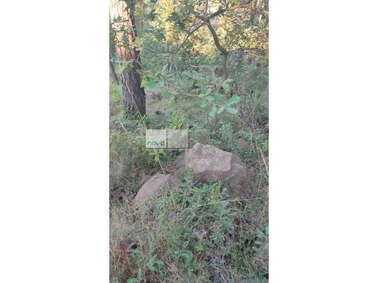 Wohnbaugrundstück zum Verkauf in Muntanyola, imagen 14
