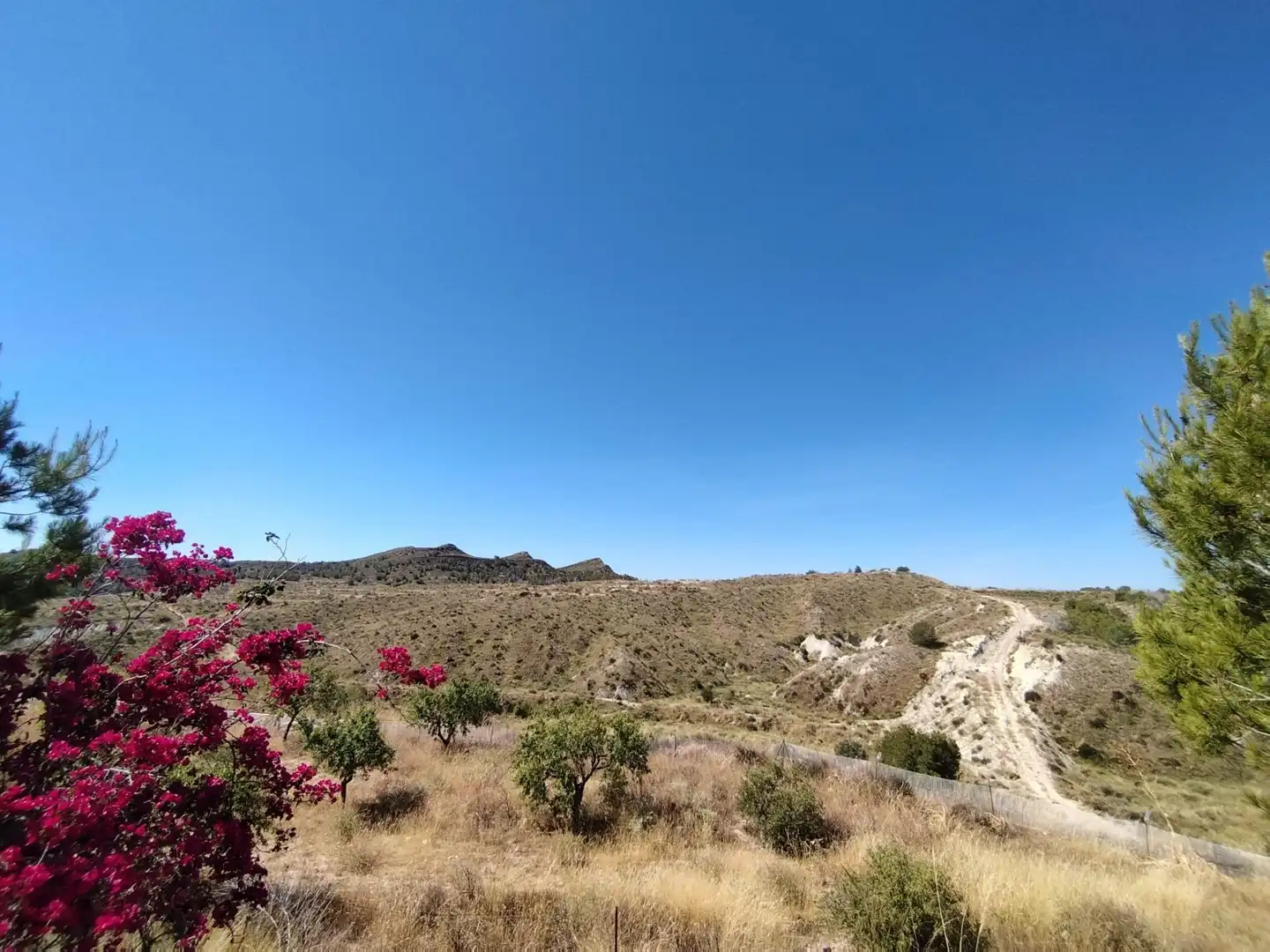 Casa o chalet en venta en Murcia con Trastero y Amueblado