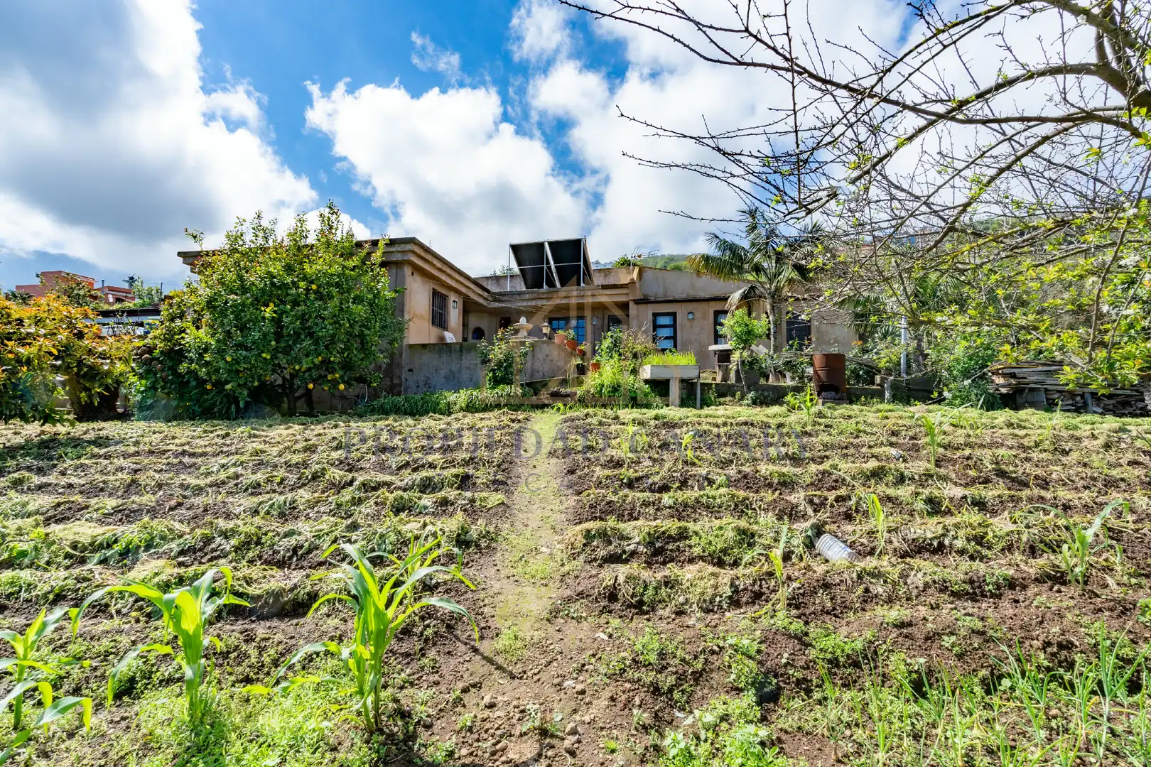 Casa rústica con jardín en venta en La Perdoma - San Antonio - Benijos, imagen 30