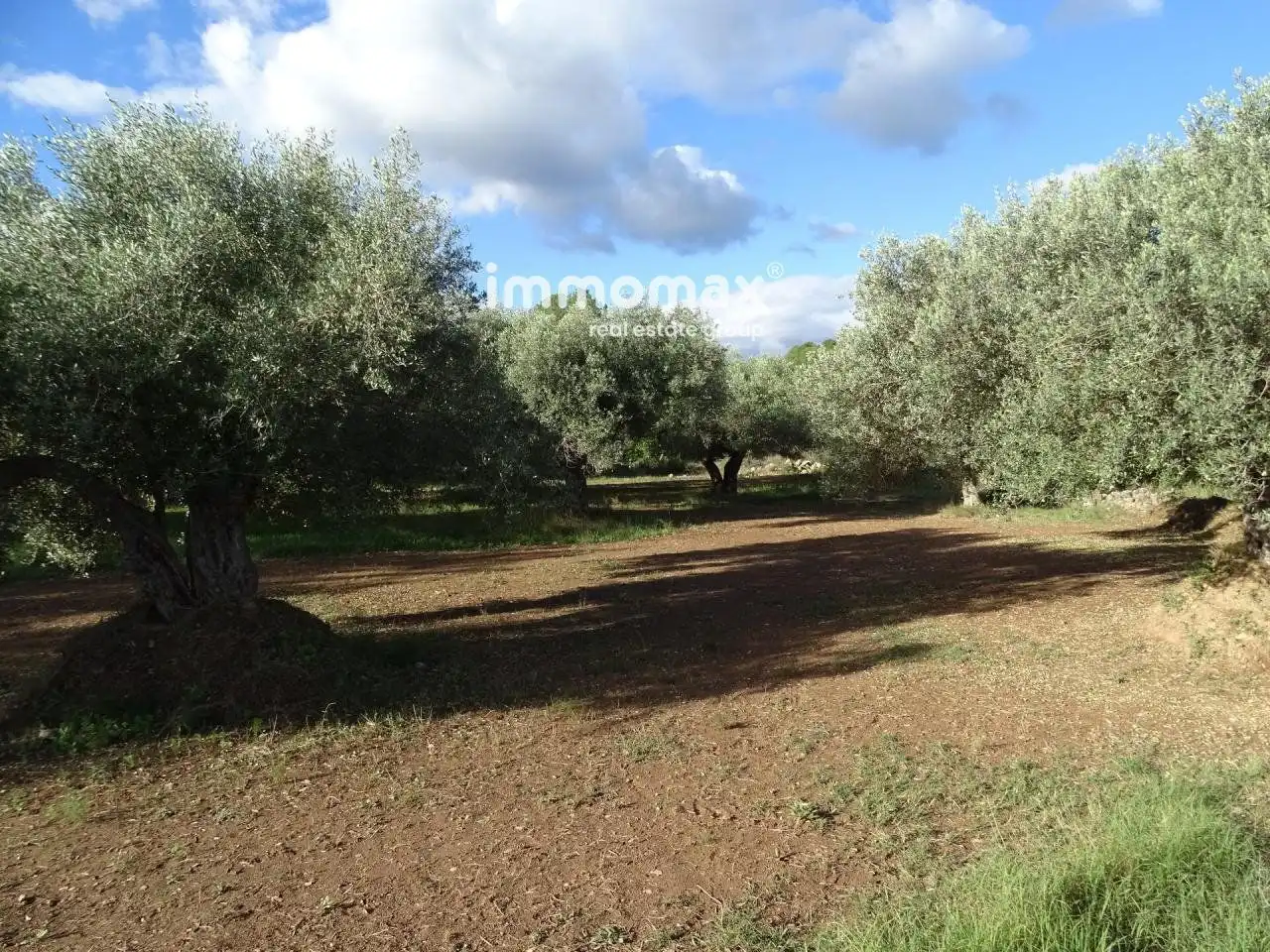 Houses for sale in Aldover