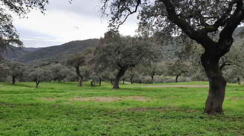 Photo 5 of Land for sale in Parque María Luisa -Giralda Sur, Sevilla