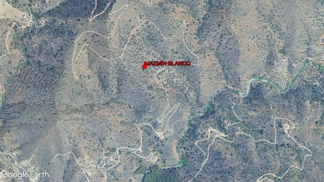 Terreny rústic en venda a Este