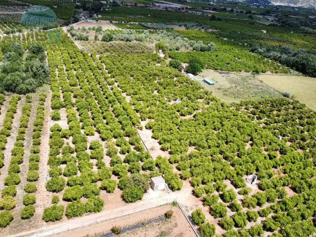 Rural land for sale in Partida Garroferal, imagen 9