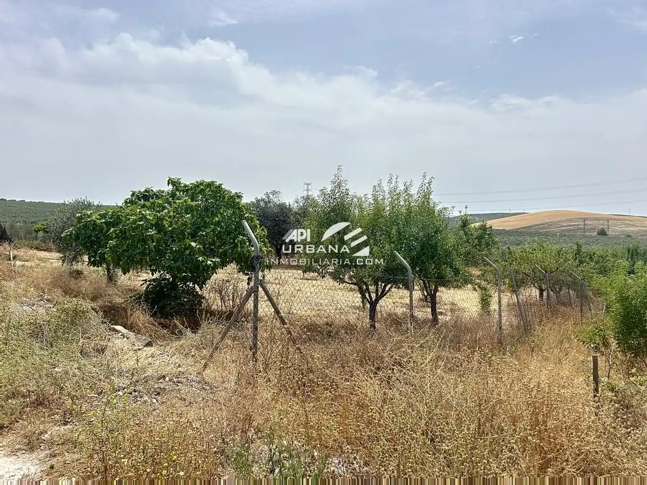 Casa amb piscina en venda a Cuesta Baltasar, imagen 24