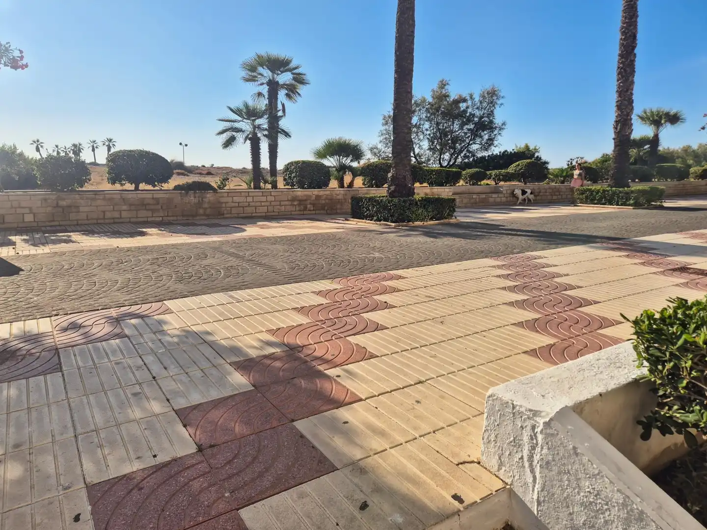 Terraza de Local en venta en Canet d'En Berenguer