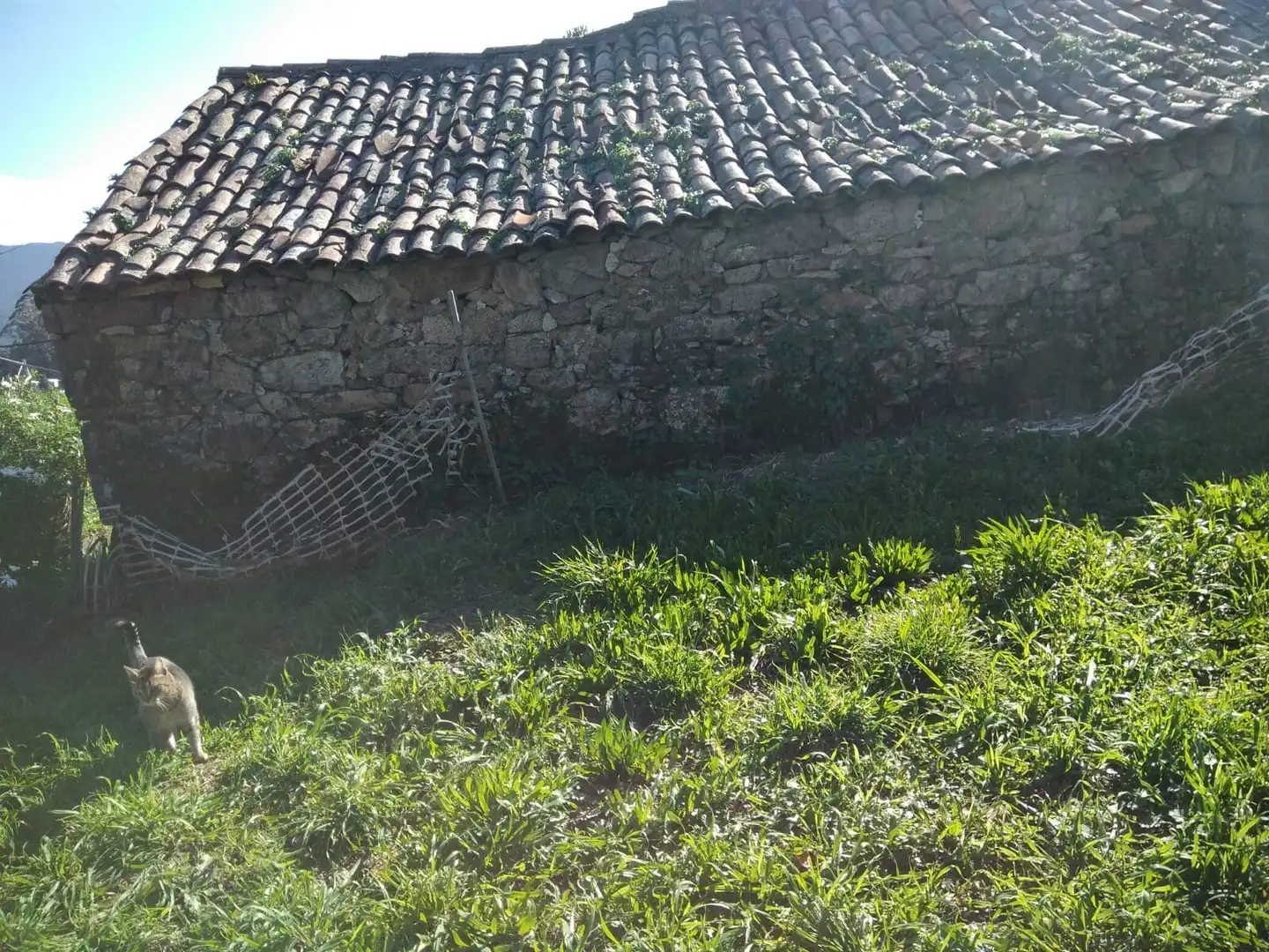 Jardín de Finca rústica en venta en Barro con Jardín privado