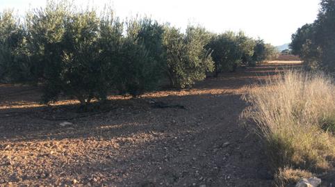 Foto 5 de Finca rústica en venda a Pulpí pueblo, Almería