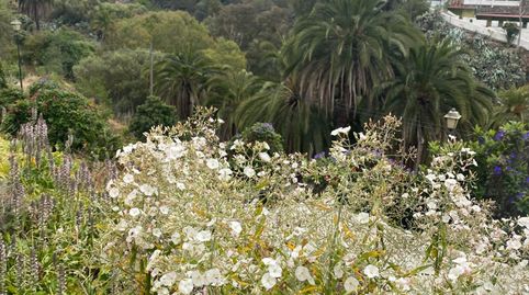 Foto 4 von Gebaude zum Verkauf in Carretera del Gamonal, San José de las Vegas - La Atalaya, Santa Brígida