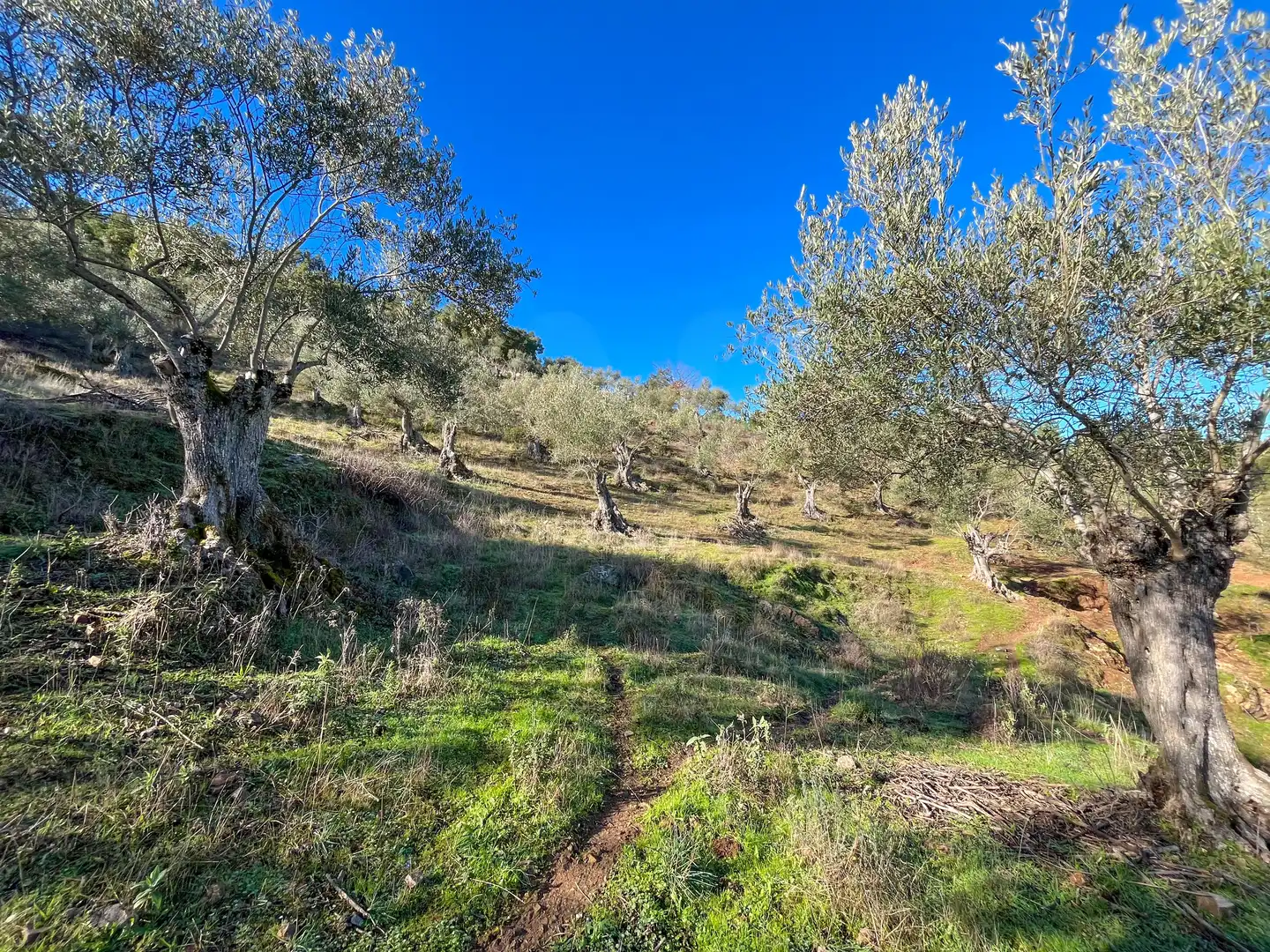Grundstücke zum Verkauf in La Nava
