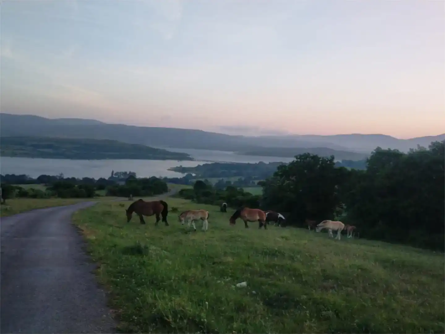 Vista exterior de Finca rústica en venda en Burgos amb Jardí privat, Parquet i Moblat