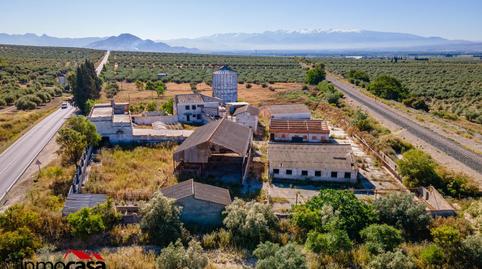 Foto 4 de Finca rústica en venda a Polígono San Jose, 283, Íllora, Granada