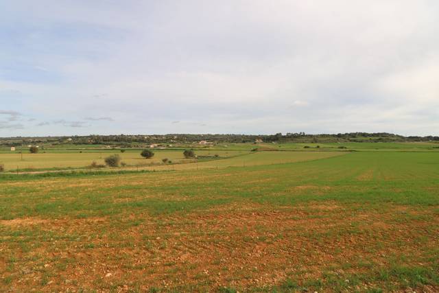 Terreno residencial en Venta en Ariany