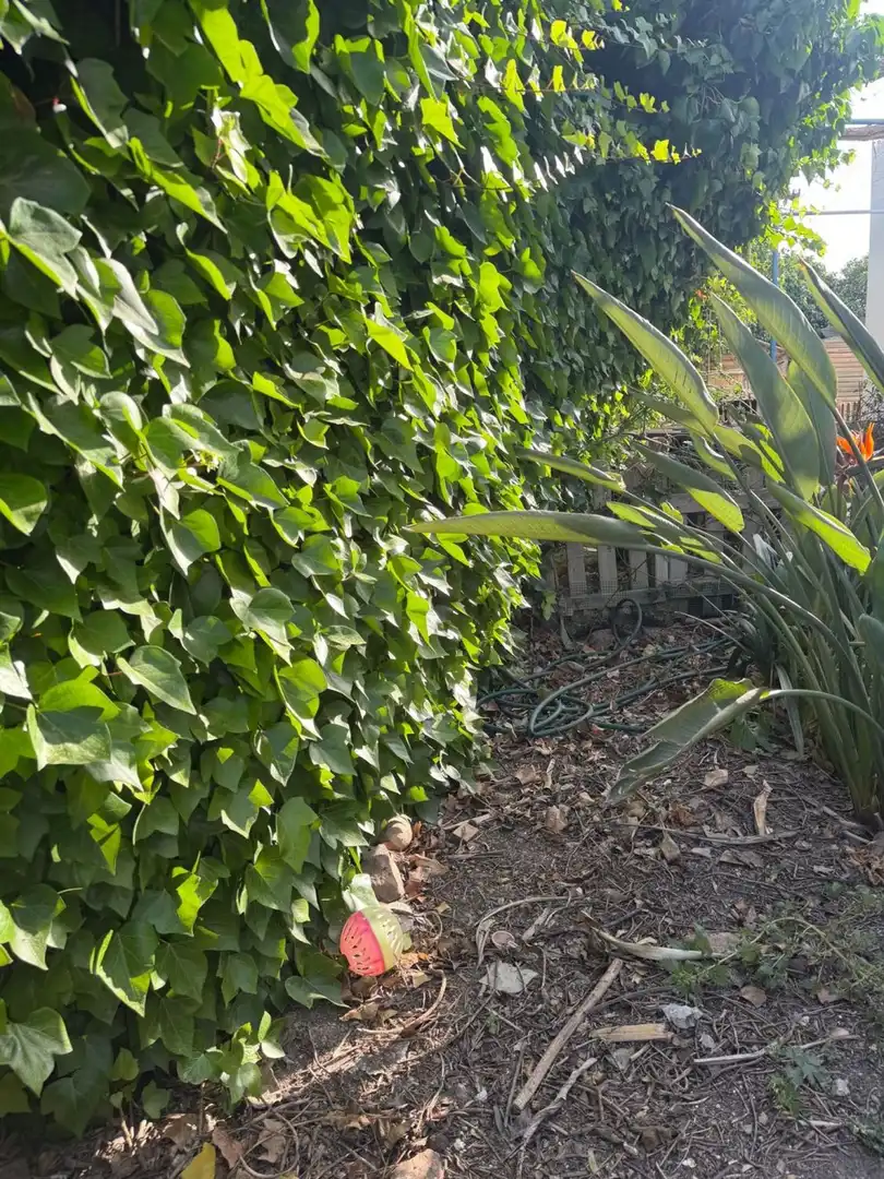 Garden of Houses for sale in Almería  with Air Conditioner, Private garden and Terrace