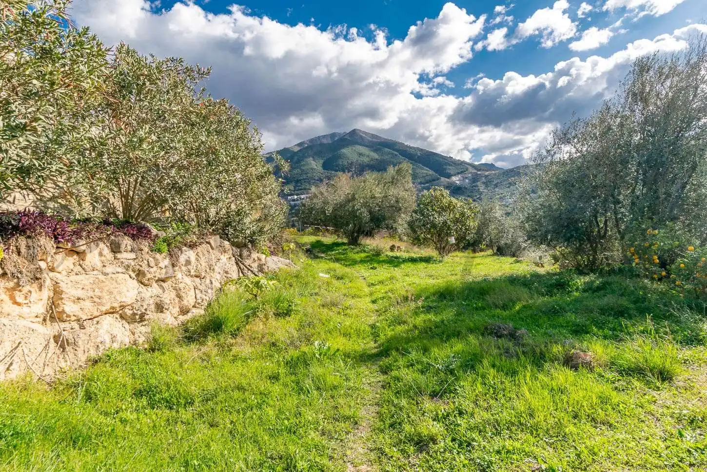 Casa con jardín en venta en Alcaucín, imagen 4