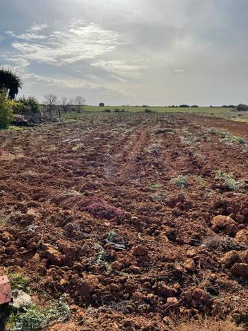 Terreno en Venta en Barrio Nuevo
