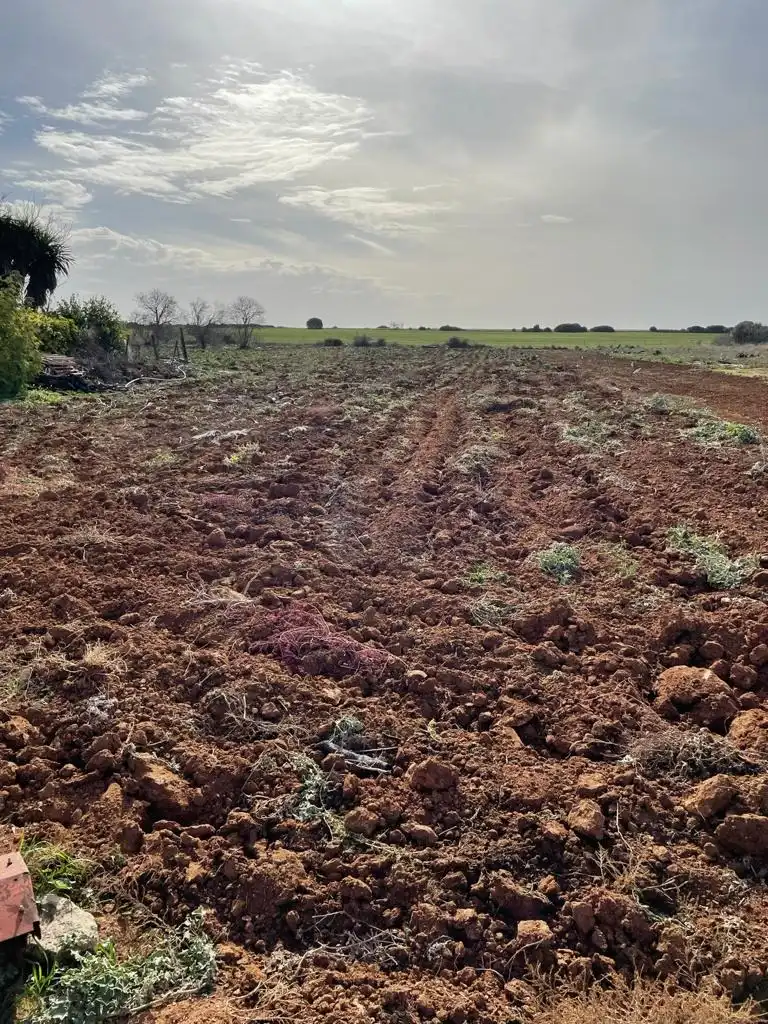 Rural land for sale in Barrio Nuevo