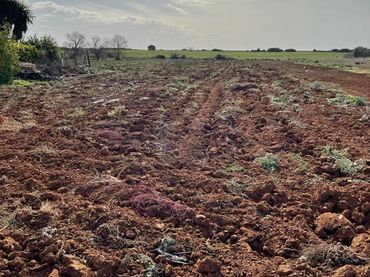 Terrain rustique à vendre à Barrio Nuevo