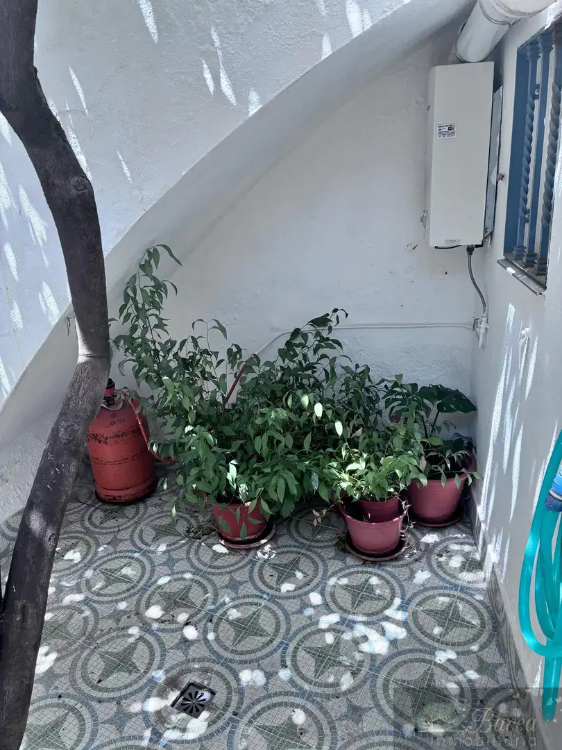 Maison à vendre à Rute, imagen 15