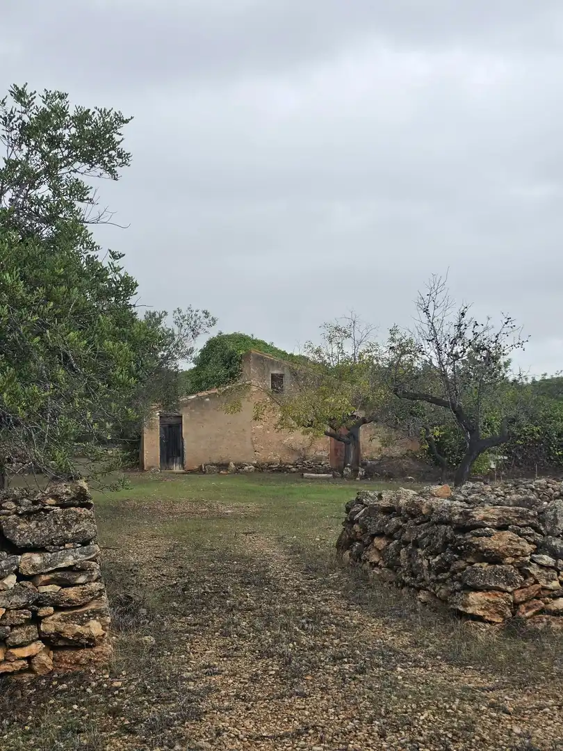 Terreny rústic en venda a Les Tres Cales, imagen 2