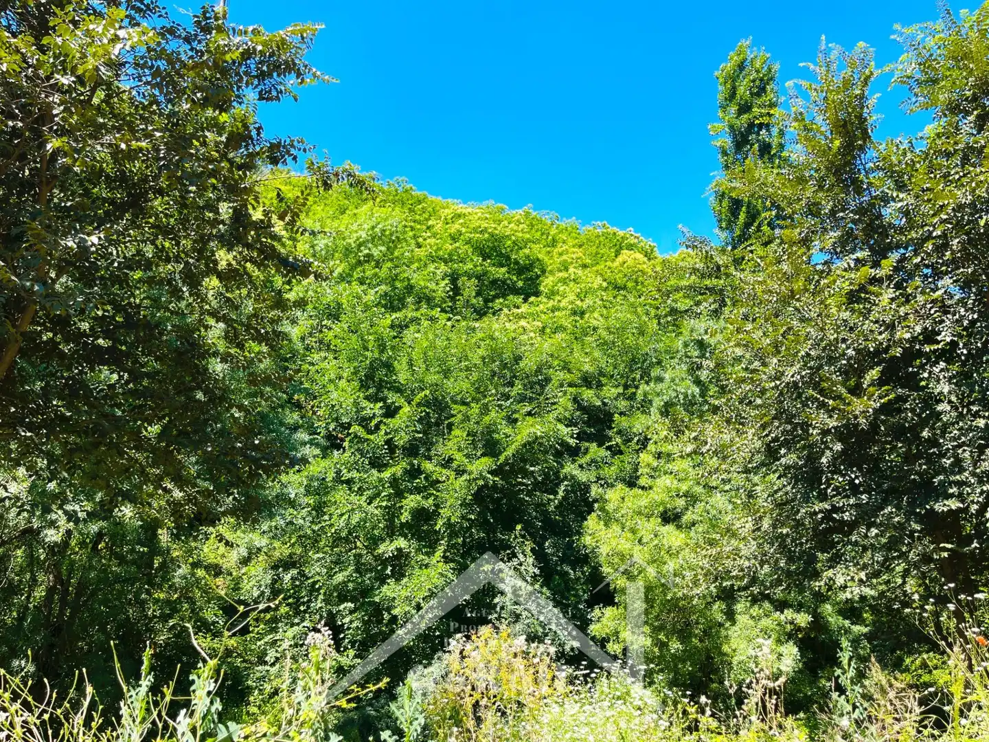 Grundstücke zum Verkauf in Constantina