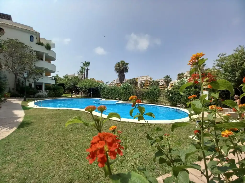 Swimming pool of Attic for sale in Torrevieja  with Air Conditioner, Terrace and Storage room
