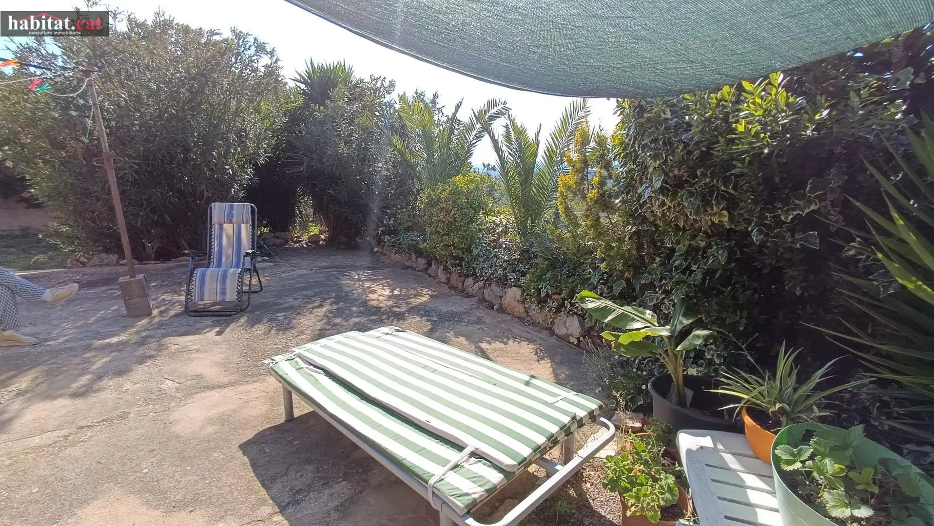 Garden of Houses for sale in Olivella