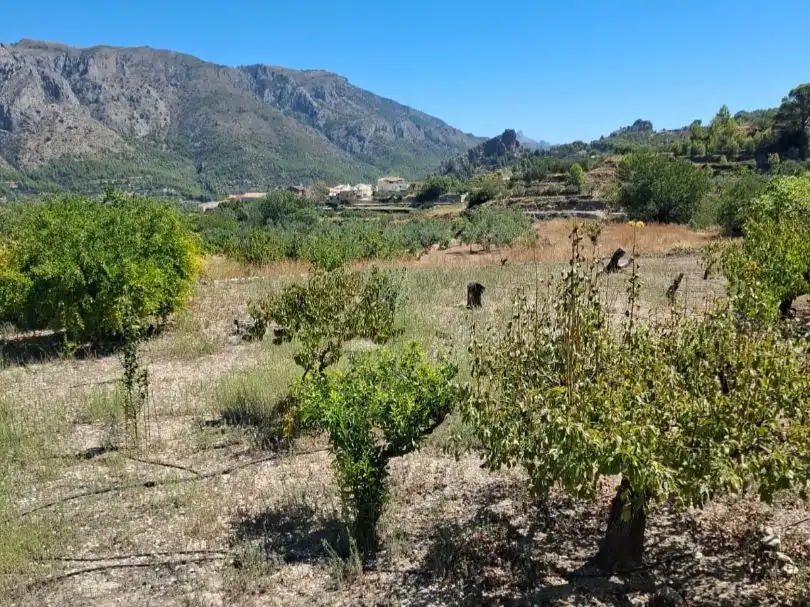 Grundstücke zum Verkauf in Beniardà