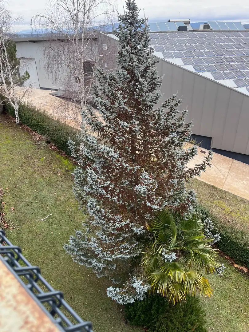 Jardín de Oficina de alquiler en Vitoria - Gasteiz con Calefacción