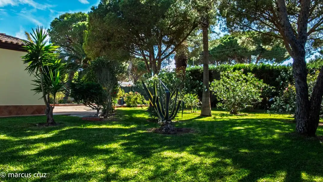 Chalet en venta en Calle Erizo 15, imagen 8