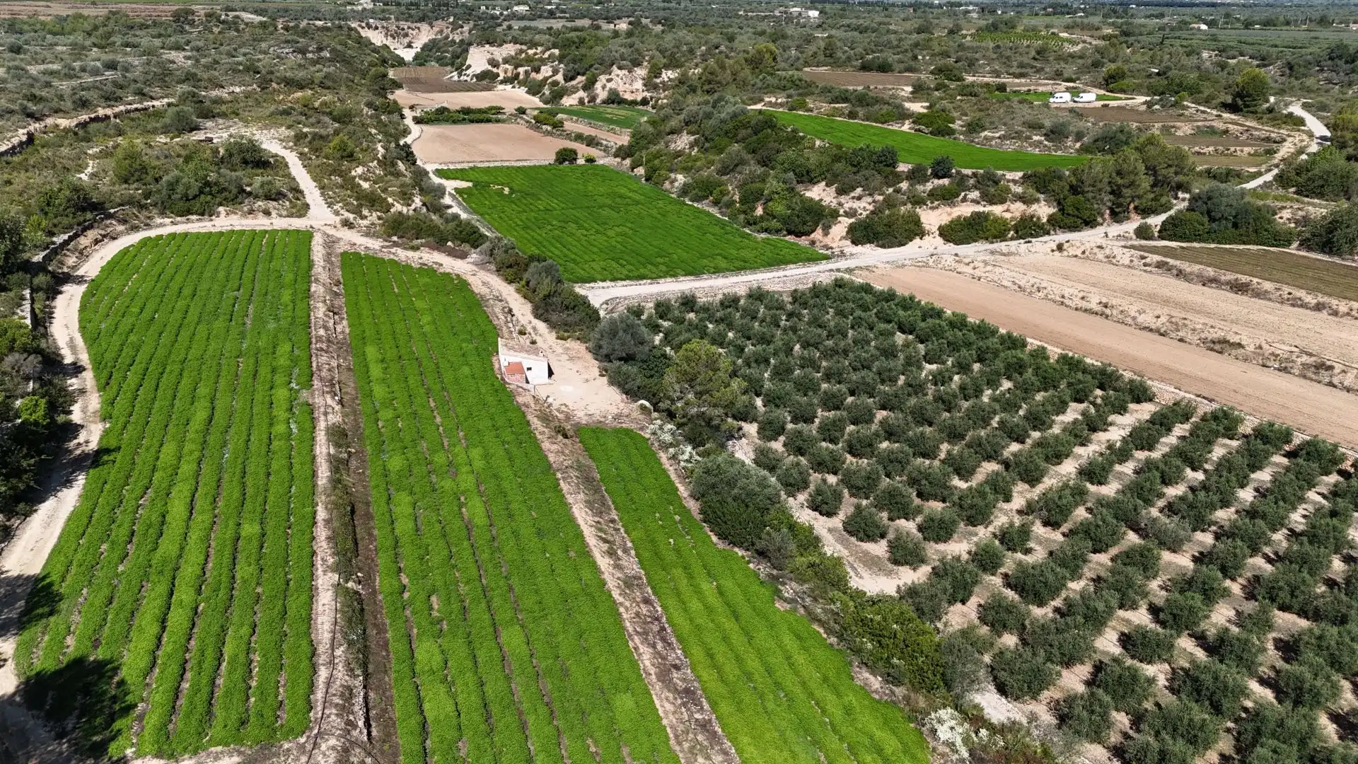 Terreno en venta en Tortosa