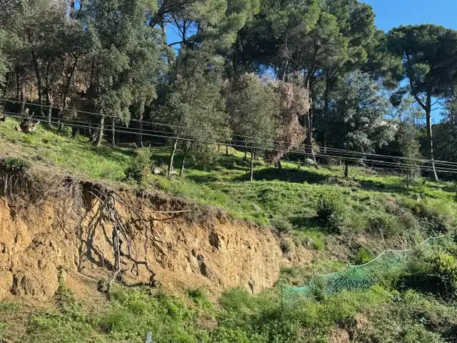 Terreno residenziale in vendita a Avinguda Can Massuet 18, imagen 5