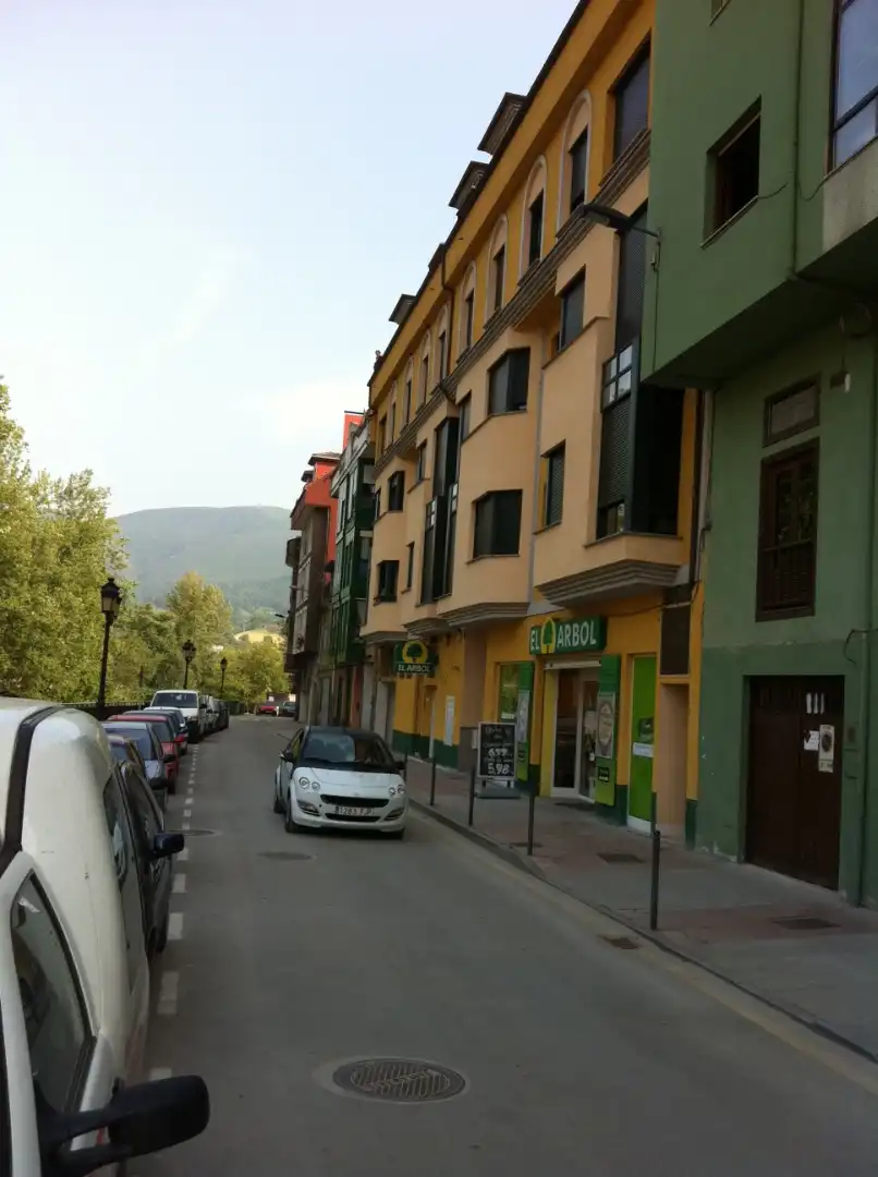 Vista exterior de Piso en venta en Piloña con Horno