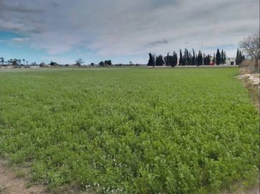 Terrenos y solares en venta en Cam. los Tonecas