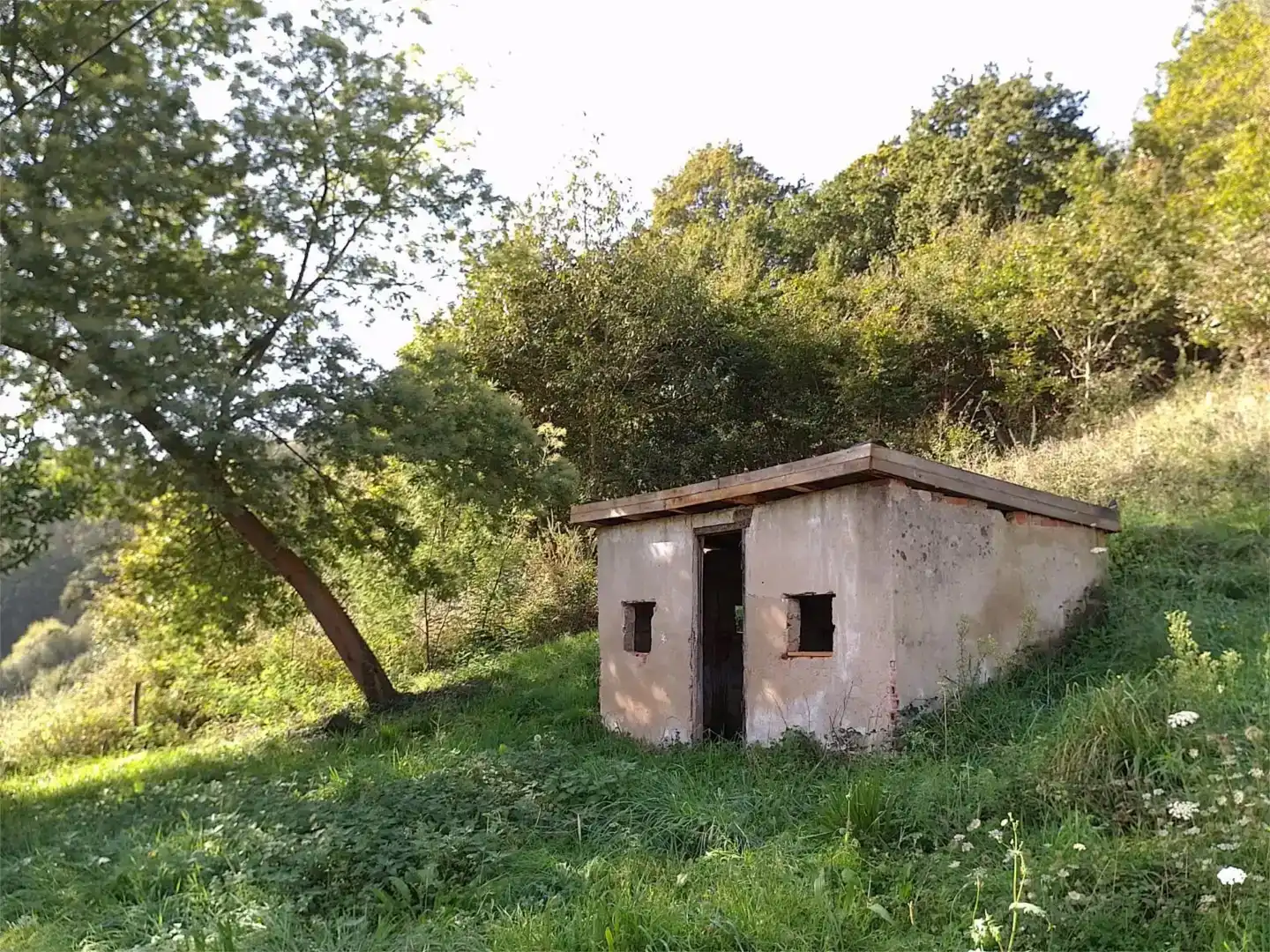 Vista exterior de Casa o xalet en venda en Salas