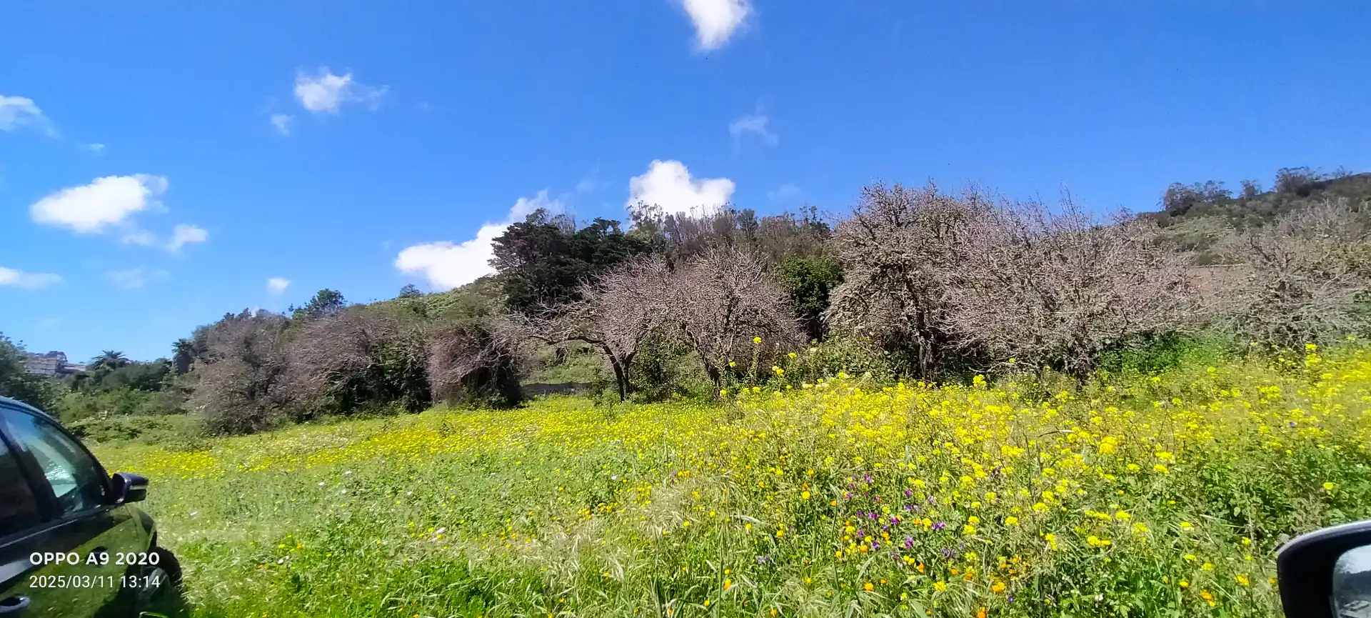Finca rústica en venda en San Cristóbal de la Laguna amb Jardí privat, Parquet i Terrassa