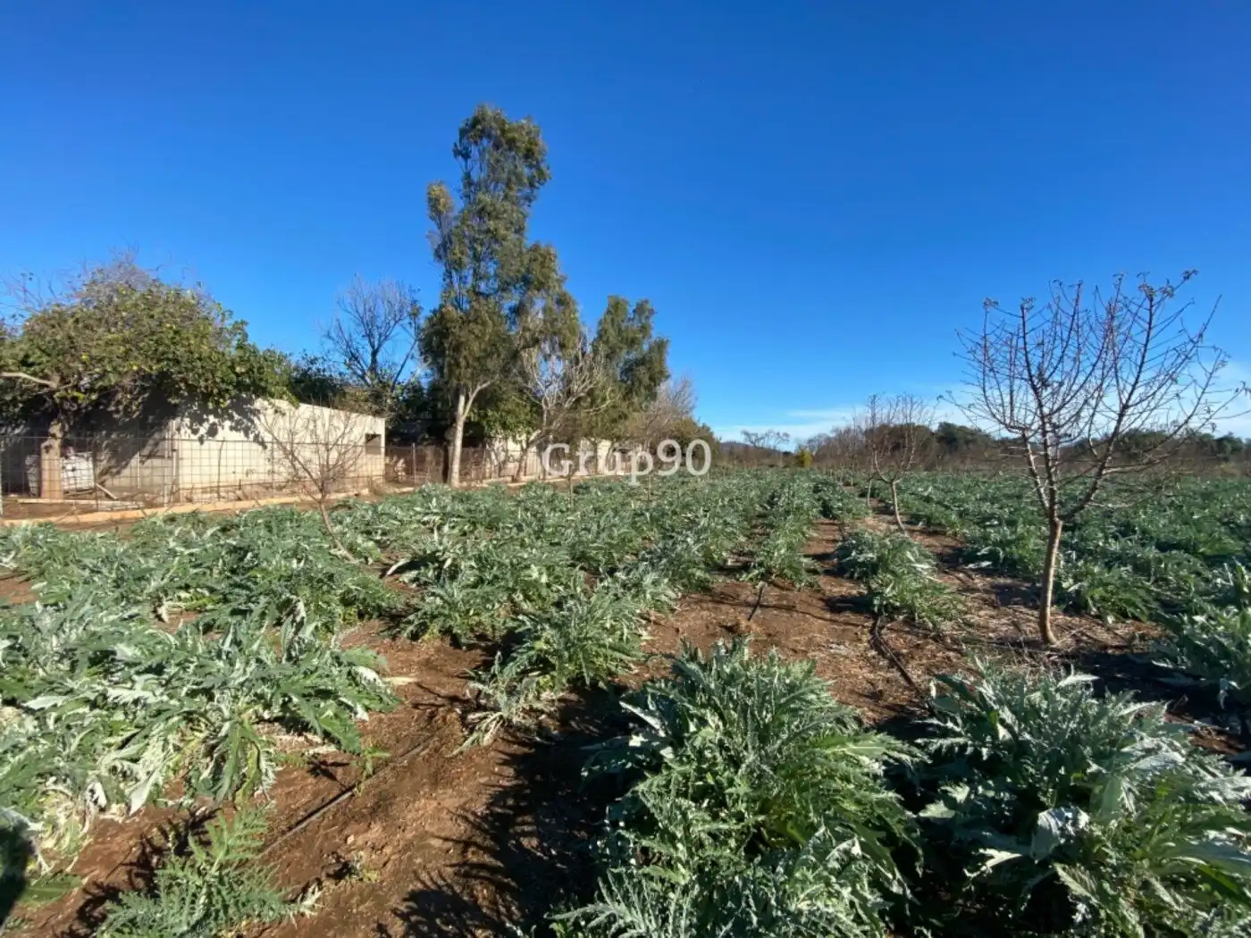 Local en venta en Cabanes