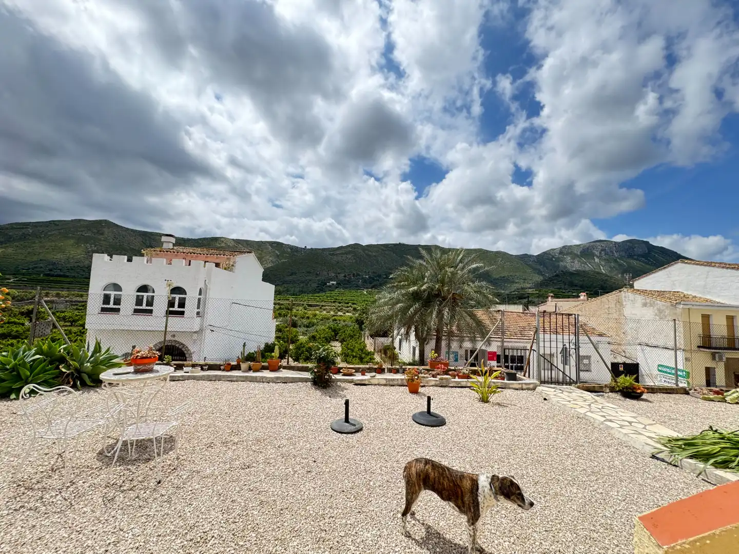 Vista exterior de Casa o chalet en venta en L'Atzúbia con Aire acondicionado, Calefacción y Jardín privado