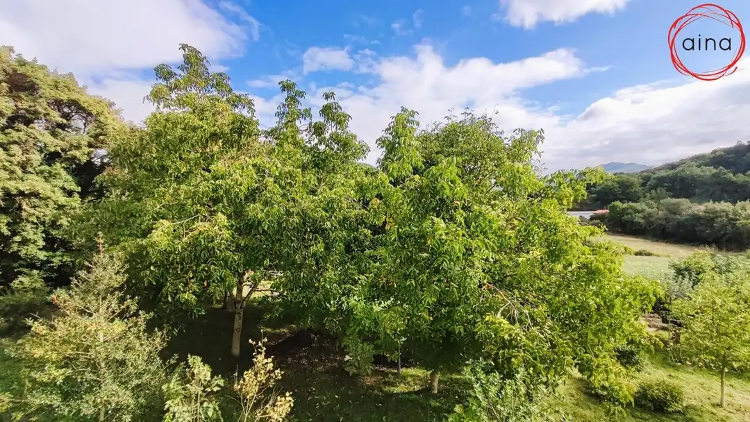Houses for sale in Iza / Itza  with Heating, Private garden and Terrace