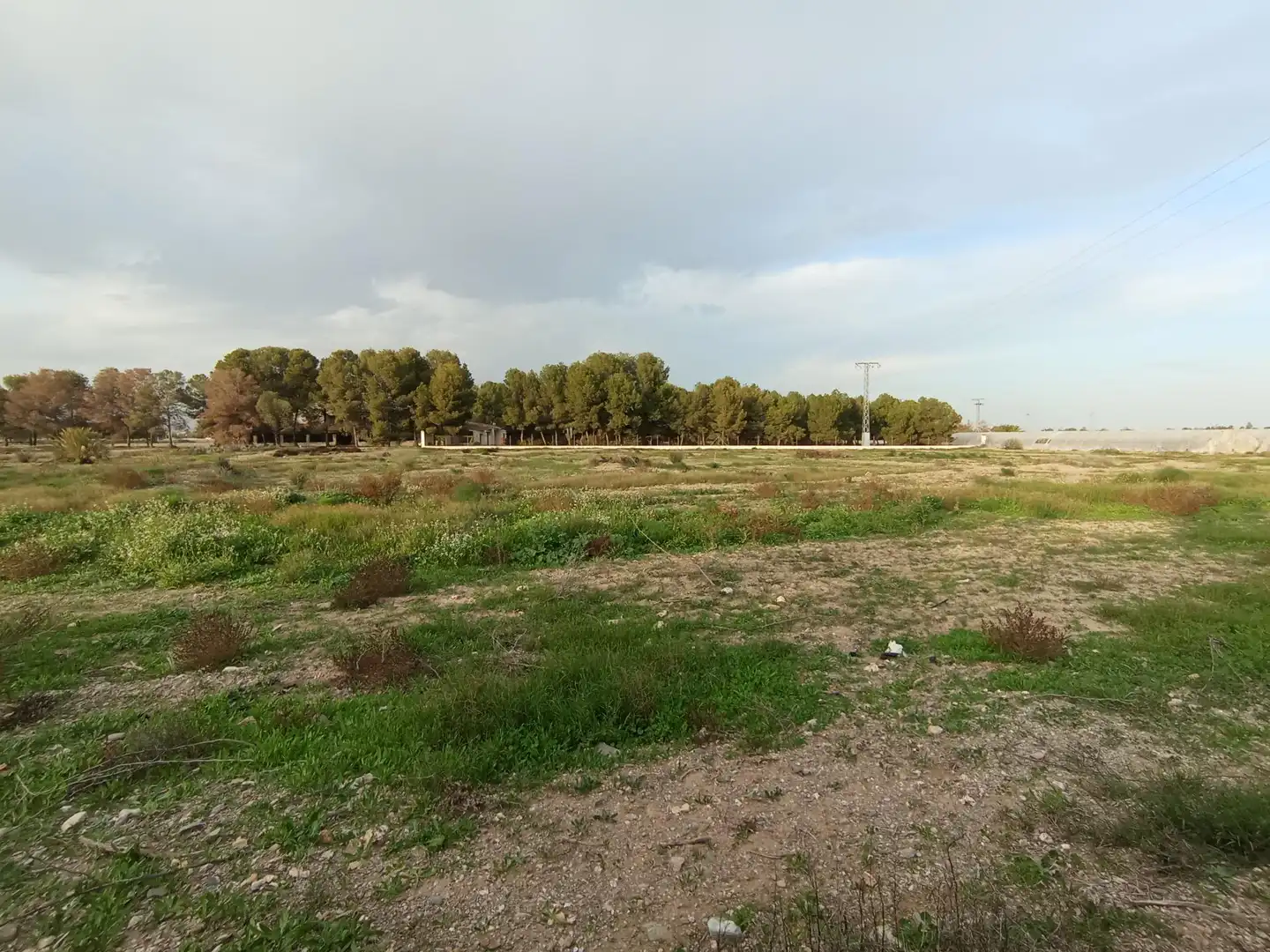 Terreny rústic en venda a Puerto Lumbreras, imagen 10