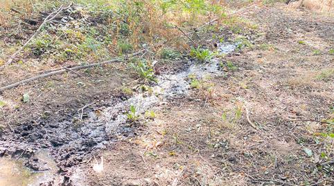 Foto 3 de Terreny en venda a N/a, -1, Rebollar (Cáceres), Cáceres