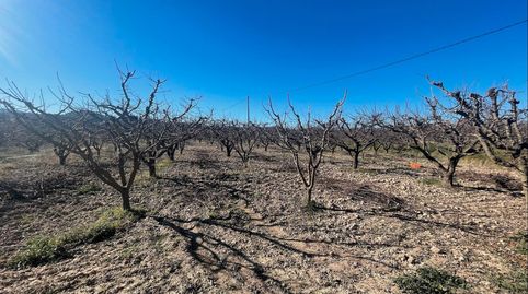 finca regadio posibilidad de construir , immagine 5
