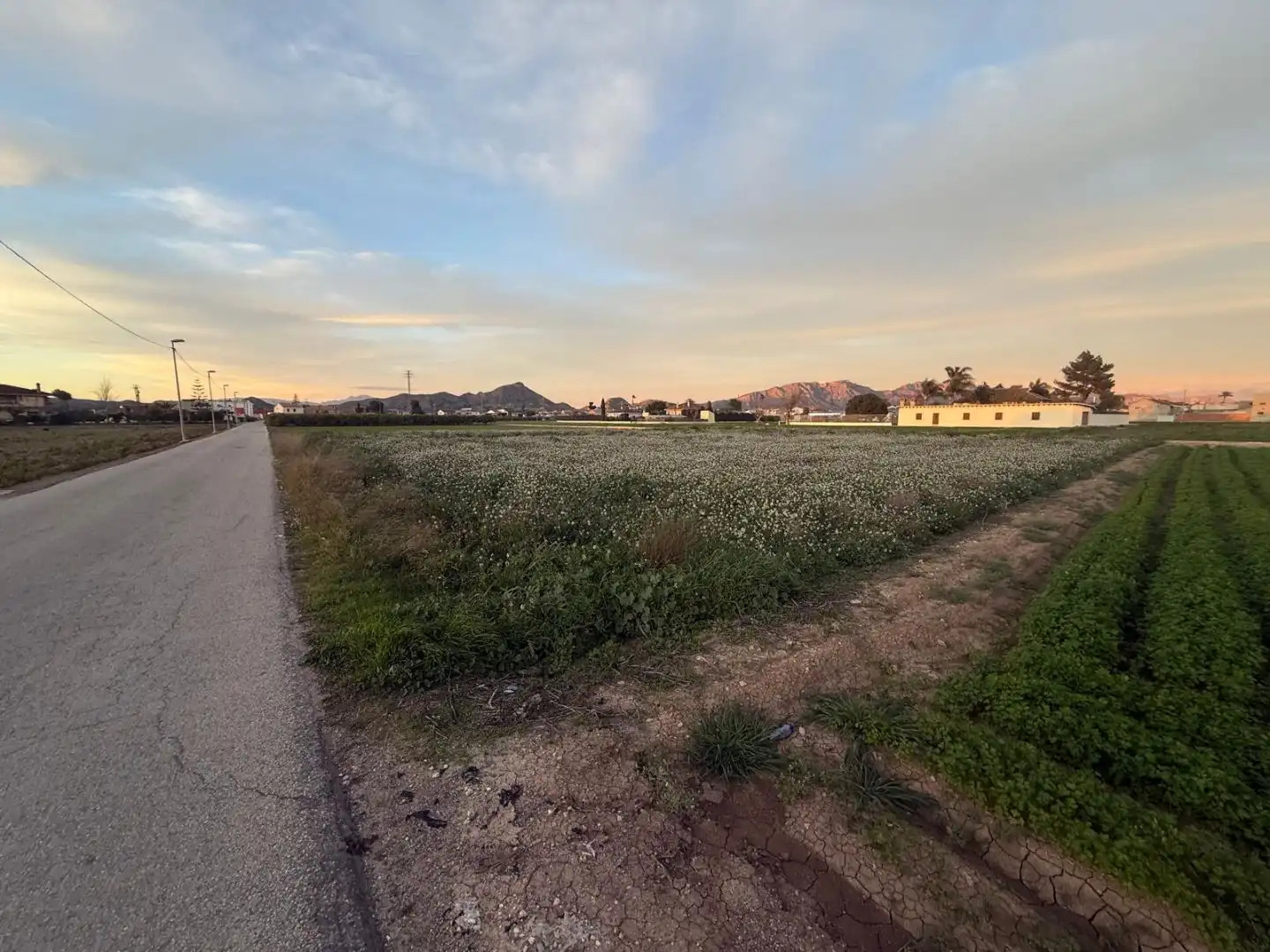 Grundstücke zum Verkauf in Murcia