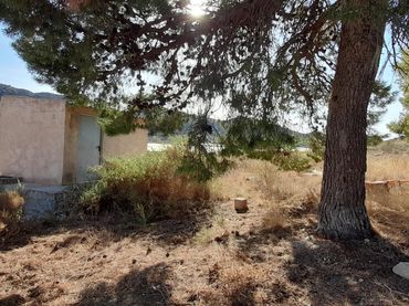 Terreny residencial en venda a Novelda