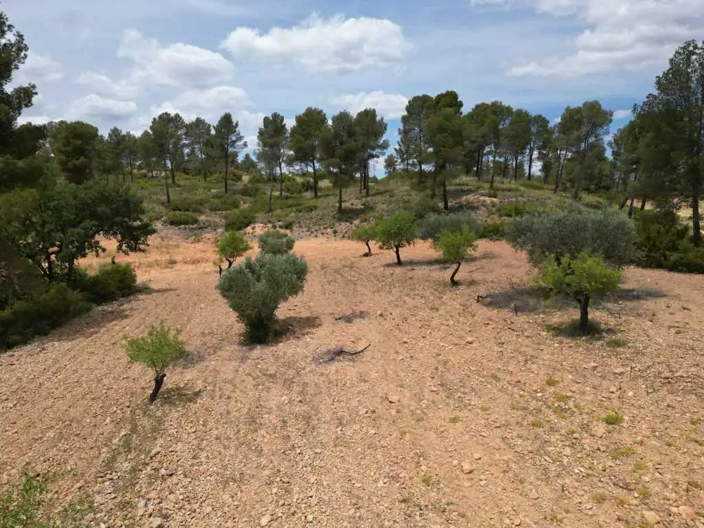 Residential for sale in Vallejo De La Tia Casta, Mira