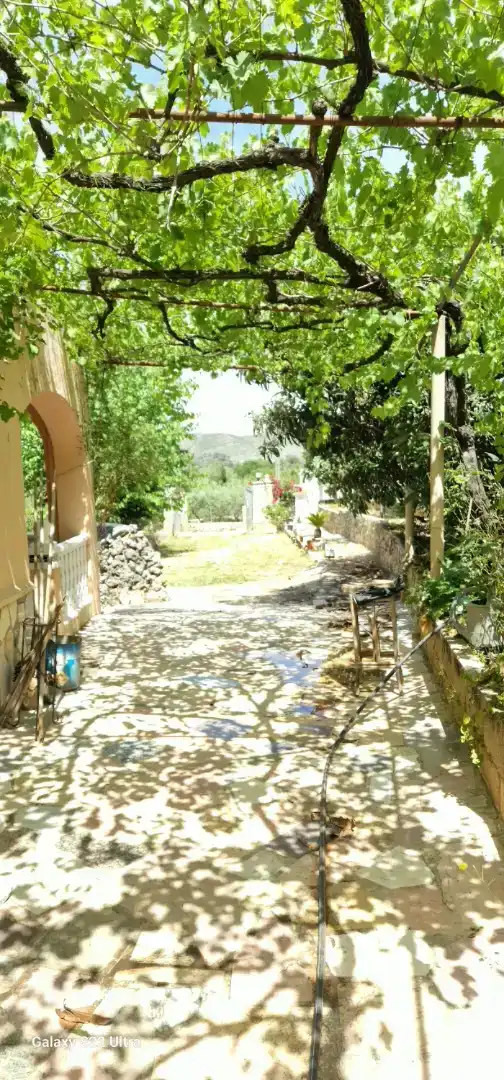 Vista exterior de Finca rústica en venda en Simat de la Valldigna amb Aire condicionat, Piscina i Balcó