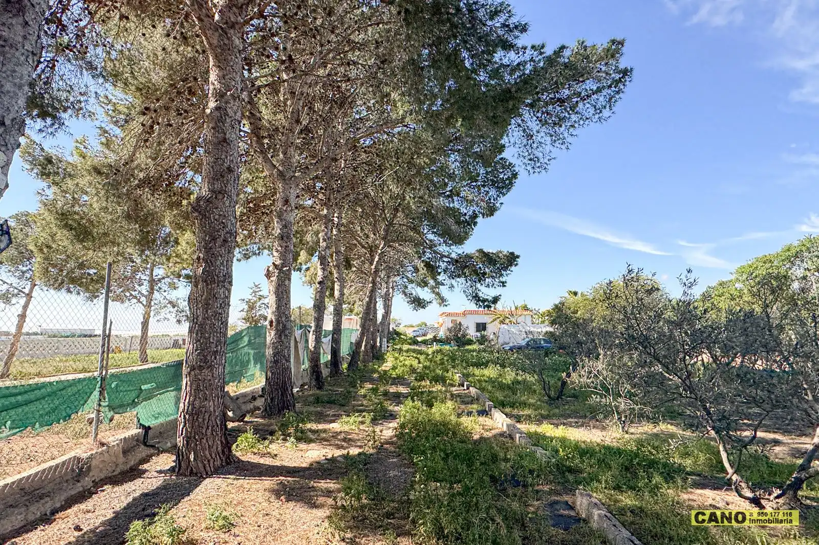 Casa o chalet en venta en Níjar con Piscina