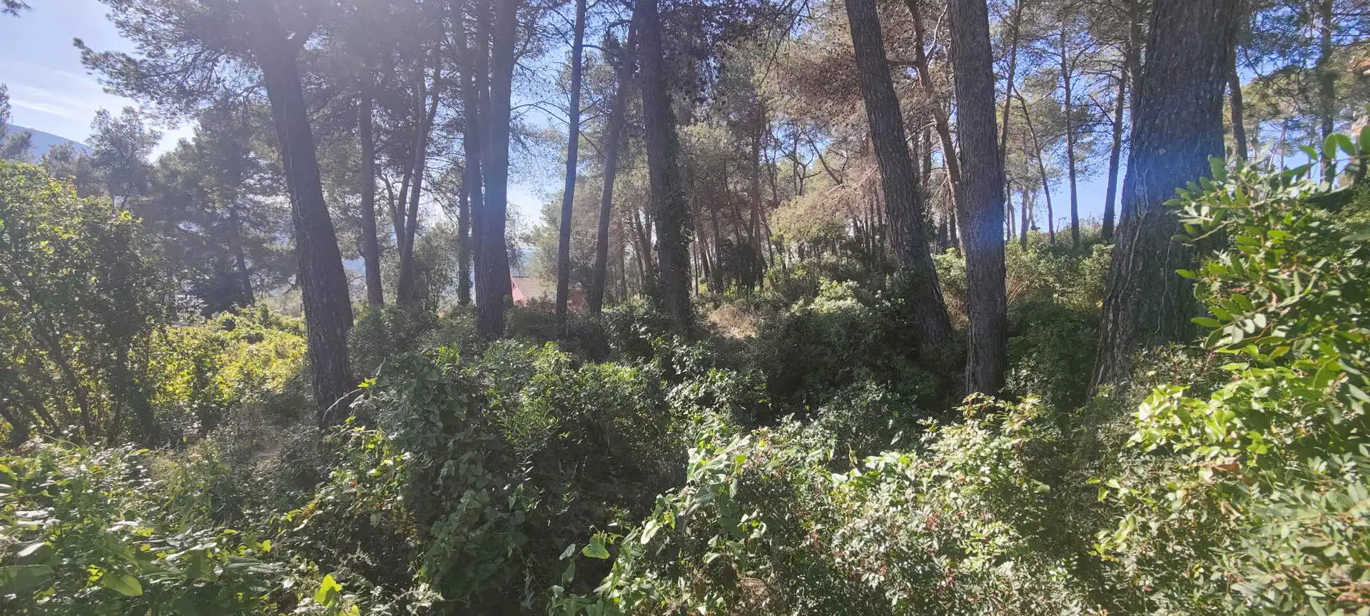 Terreny residencial en venda a Olesa de Bonesvalls, imagen 10